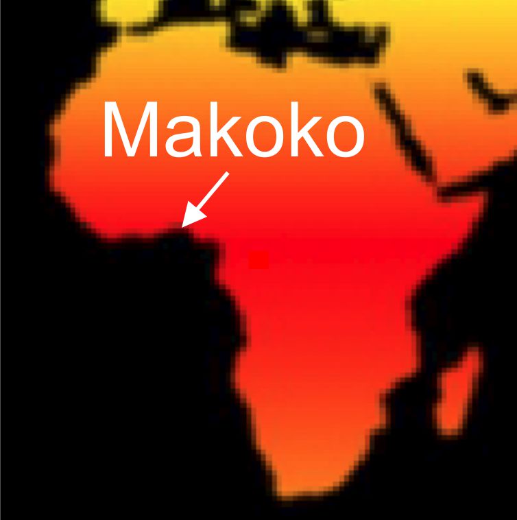 Makoko