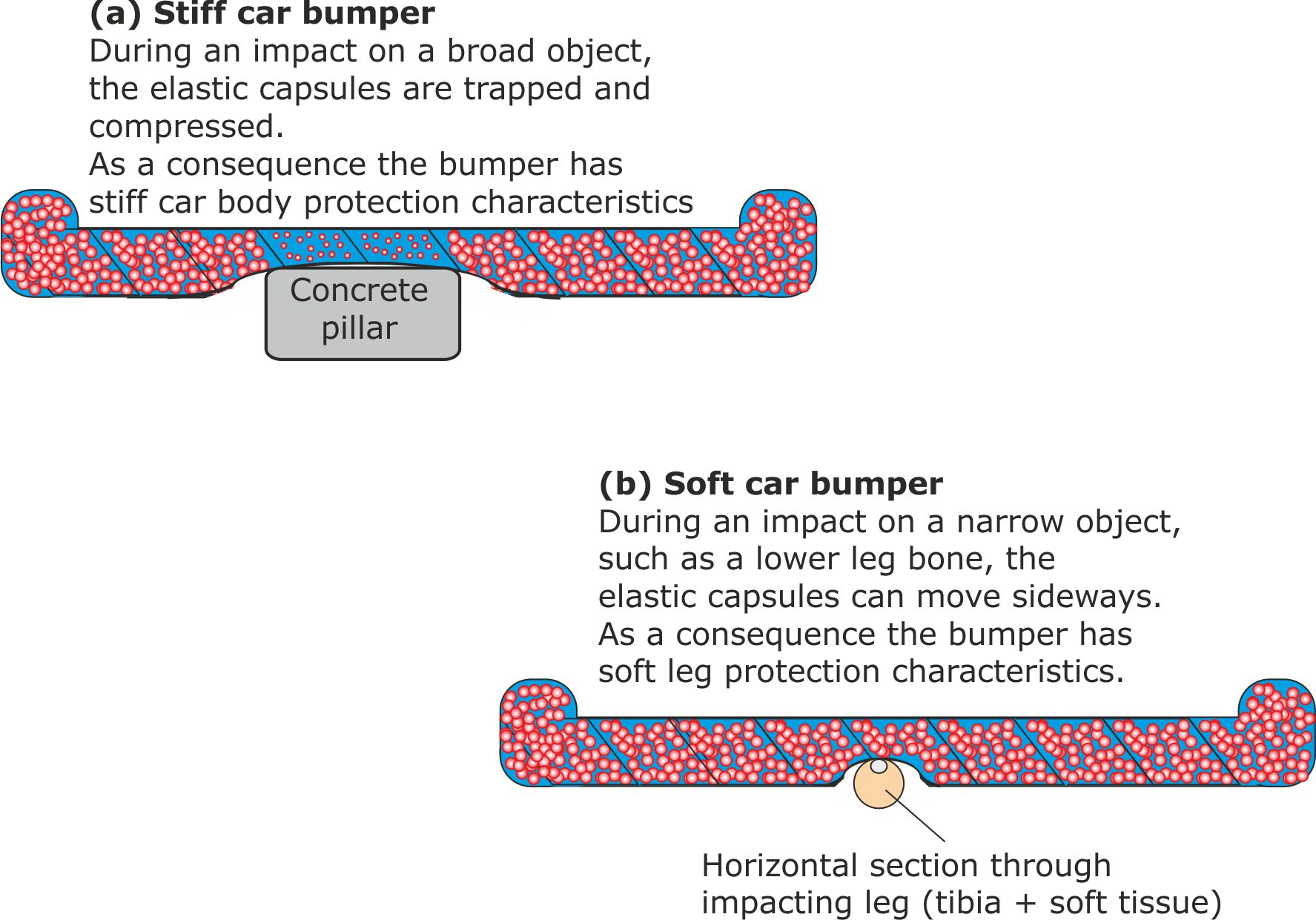 SALi bumper